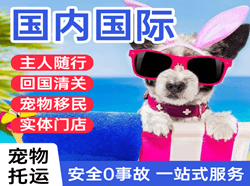 临汾航空运输国际宠物托运 【国